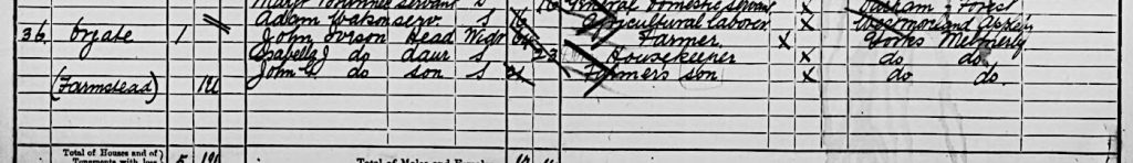 1891 Census