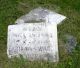 abigail_ward-newpt-land.jpg